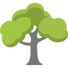 Chattanooga Tree Removal Service